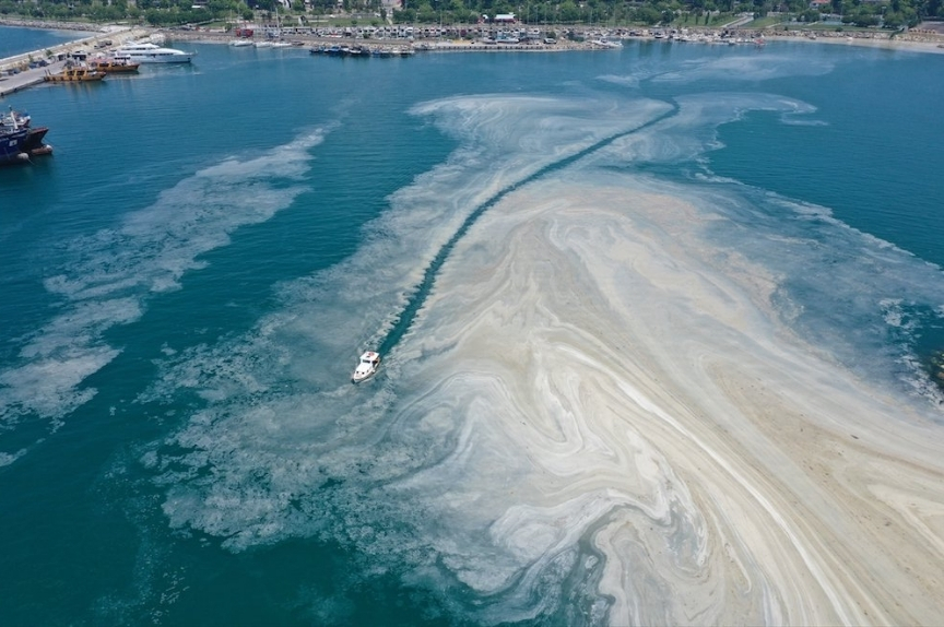 Marmara Denizi İçin Müsilaj Uyarısı